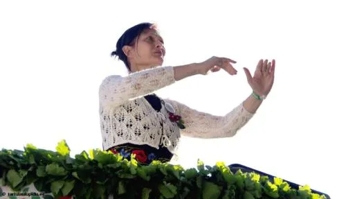 Tartu-laulupidu-2014-kontsert-128