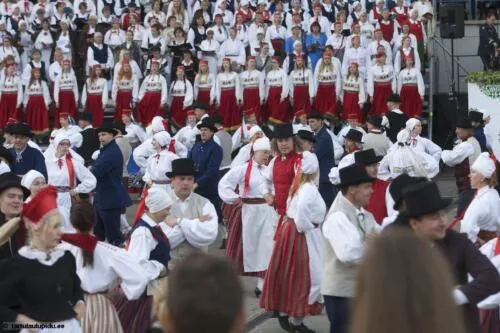 Tartu-laulupidu-2014-kontsert-239