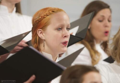 Tartu-laulupidu-2014-Alo-Ritsingt-019