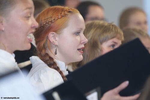 Tartu-laulupidu-2014-Alo-Ritsingt-021