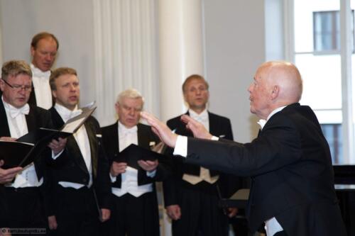Tartu-laulupidu-2014-Alo-Ritsingt-052