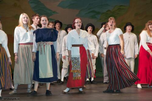 Tartu-laulupidu-2014-Murueide-tutart-001