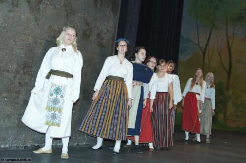 Tartu-laulupidu-2014-Murueide-tutart-002