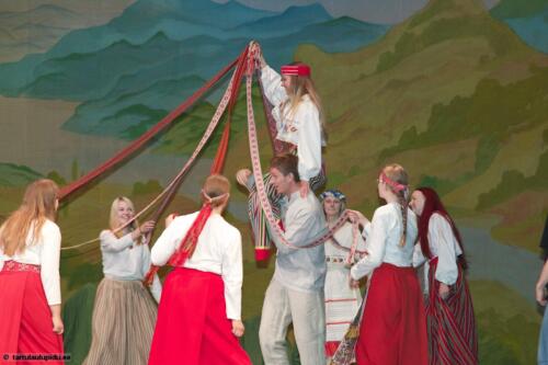 Tartu-laulupidu-2014-Murueide-tutart-008