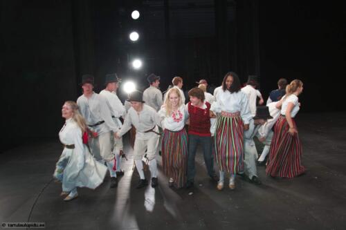 Tartu-laulupidu-2014-Murueide-tutart-009