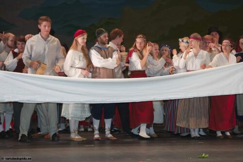 Tartu-laulupidu-2014-Murueide-tutart-040