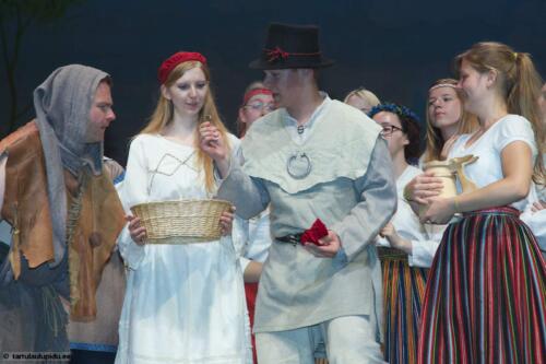 Tartu-laulupidu-2014-Murueide-tutart-045
