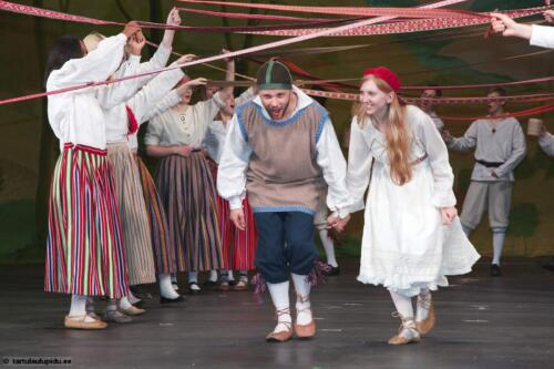 Tartu-laulupidu-2014-Murueide-tutart-055