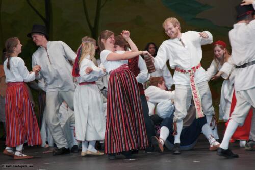 Tartu-laulupidu-2014-Murueide-tutart-064