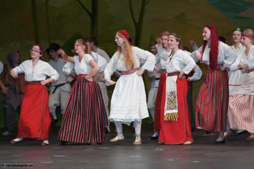 Tartu-laulupidu-2014-Murueide-tutart-065