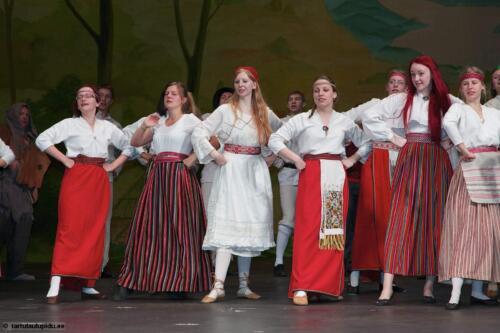 Tartu-laulupidu-2014-Murueide-tutart-066