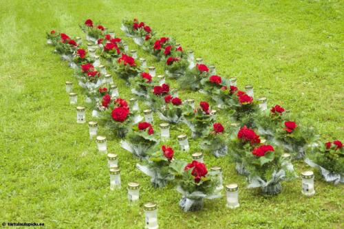 2014-Malestustseremoonia-Raadi-kalmistul-018