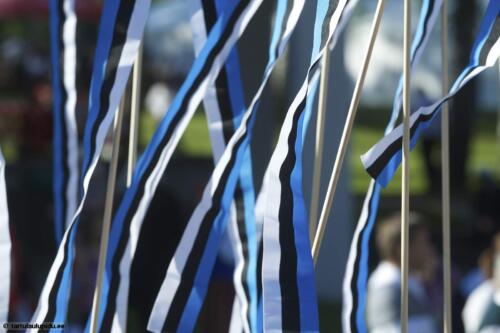 Tartu-laulupidu-2014-kontsert-030