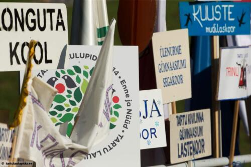 Tartu-laulupidu-2014-kontsert-035