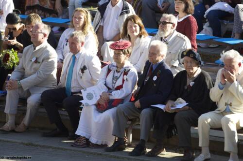 Tartu-laulupidu-2014-kontsert-054