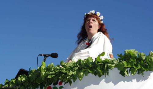 Tartu-laulupidu-2014-kontsert-059