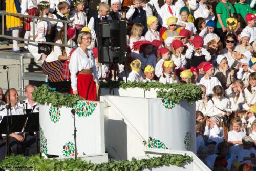 Tartu-laulupidu-2014-kontsert-061