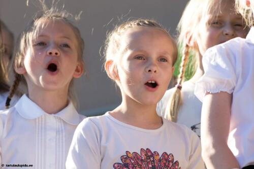 Tartu-laulupidu-2014-kontsert-070