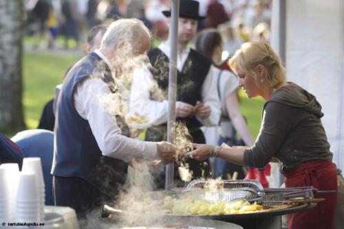 Tartu-laulupidu-2014-kontsert-095