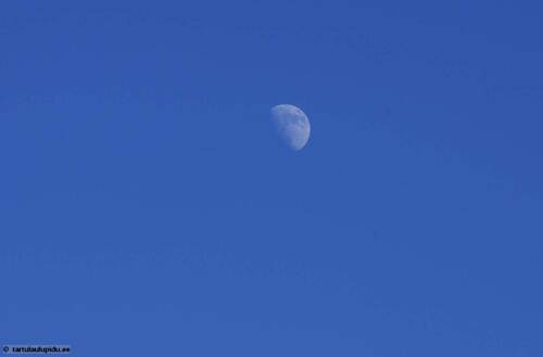 Tartu-laulupidu-2014-kontsert-097