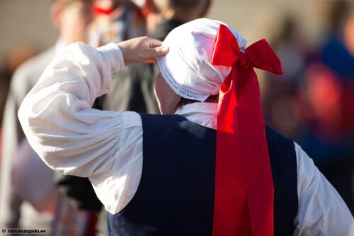 Tartu-laulupidu-2014-kontsert-114