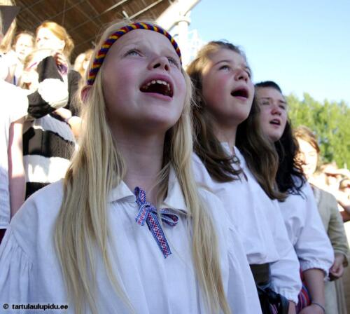 Tartu-laulupidu-2014-kontsert-115