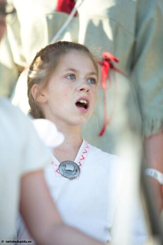 Tartu-laulupidu-2014-kontsert-132