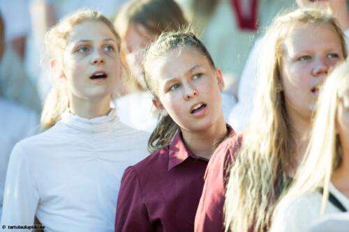 Tartu-laulupidu-2014-kontsert-133