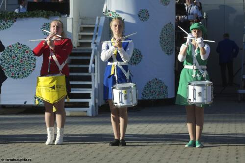 Tartu-laulupidu-2014-kontsert-152