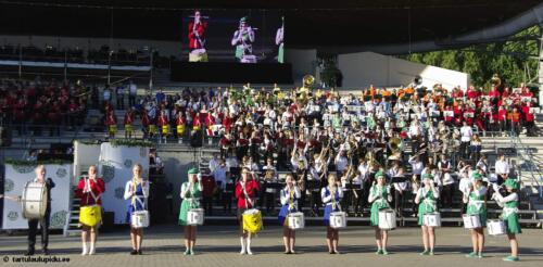 Tartu-laulupidu-2014-kontsert-159