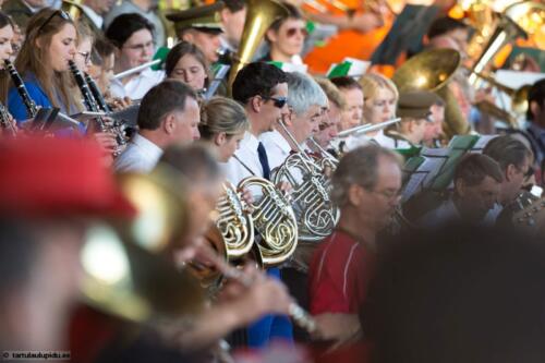 Tartu-laulupidu-2014-kontsert-163