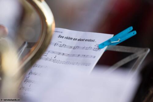 Tartu-laulupidu-2014-kontsert-168