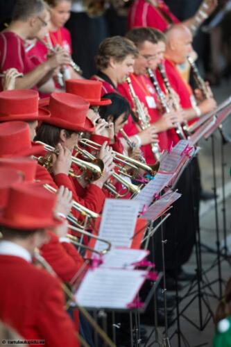 Tartu-laulupidu-2014-kontsert-170