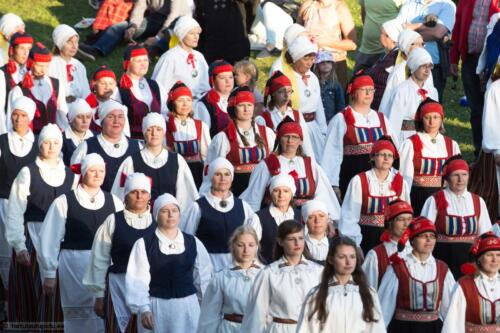 Tartu-laulupidu-2014-kontsert-183