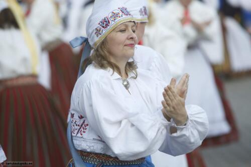 Tartu-laulupidu-2014-kontsert-191