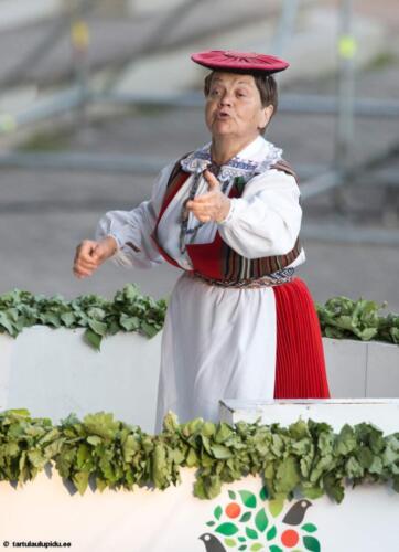 Tartu-laulupidu-2014-kontsert-193