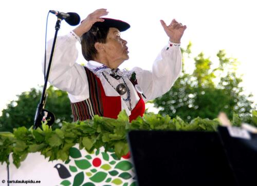 Tartu-laulupidu-2014-kontsert-194