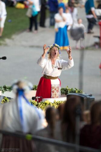 Tartu-laulupidu-2014-kontsert-197