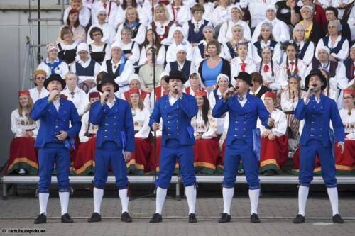 Tartu-laulupidu-2014-kontsert-216