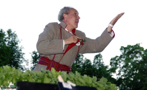 Tartu-laulupidu-2014-kontsert-220