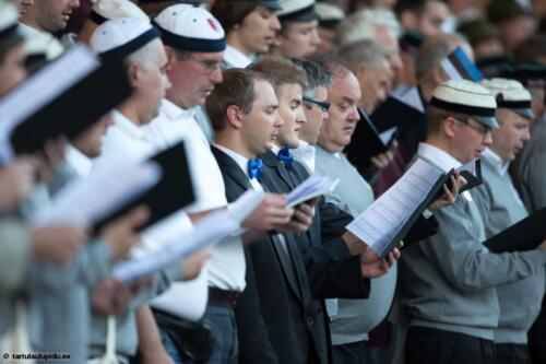 Tartu-laulupidu-2014-kontsert-229