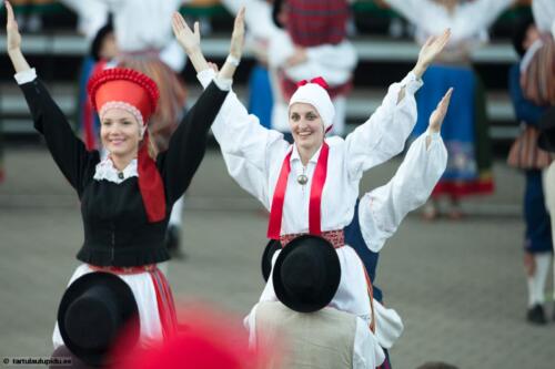 Tartu-laulupidu-2014-kontsert-242