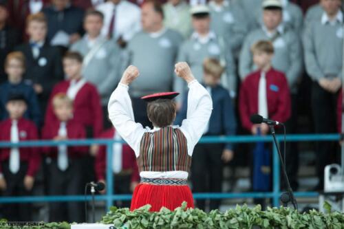 Tartu-laulupidu-2014-kontsert-288