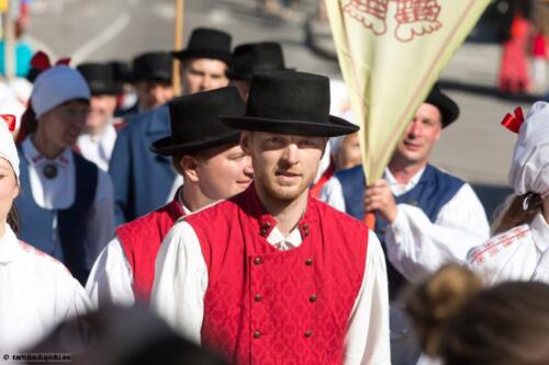 Tartu-laulupidu-2014-rongkaik-022