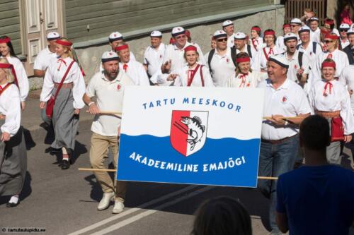 Tartu-laulupidu-2014-rongkaik-131