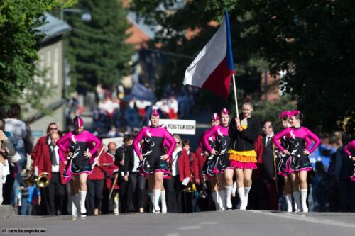 Tartu-laulupidu-2014-rongkaik-133