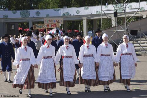 Tartu-laulupidu-2014-rongkaik-155