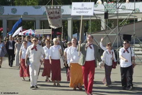 Tartu-laulupidu-2014-rongkaik-192