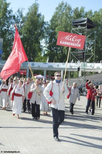 Tartu-laulupidu-2014-rongkaik-217