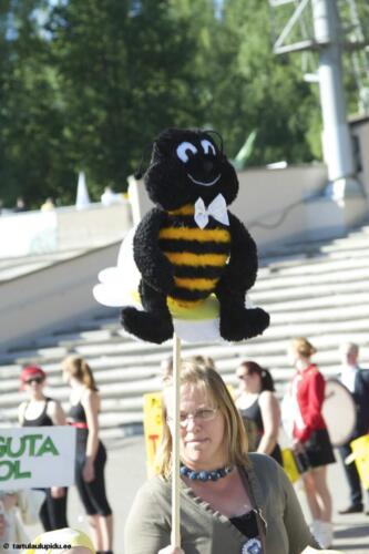 Tartu-laulupidu-2014-rongkaik-232